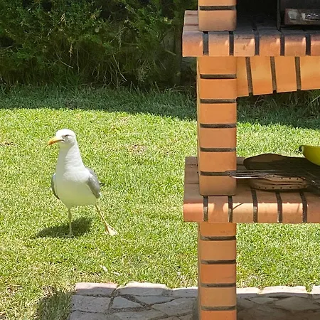 别墅 Zen - Beautiful Private Pool-heating Option, Hot Tub, Beautiful Garden *