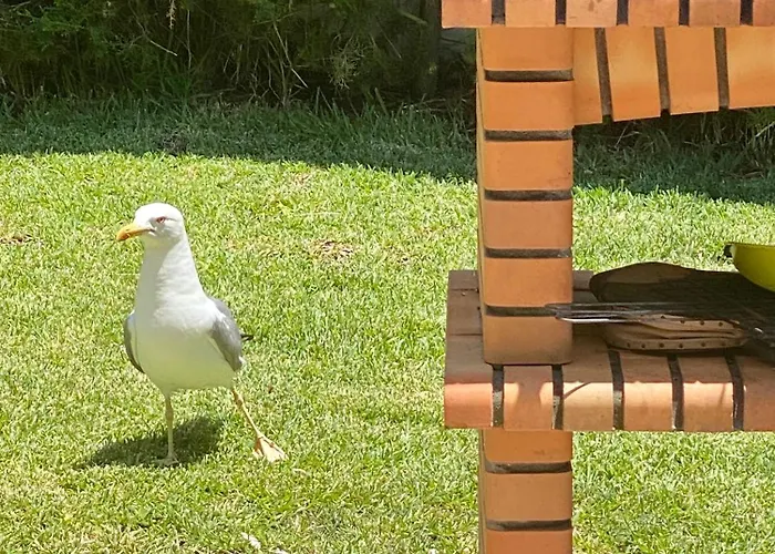 Вілла Zen - Beautiful Private Pool-heating Option, Hot Tub, Beautiful Garden *